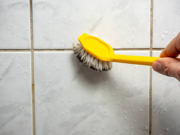 Best Same-Day Mold Removal  in South Fallsburg, NY