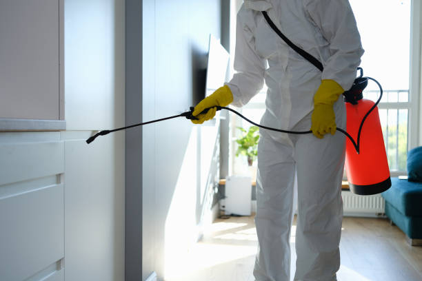 Best Mold Remediation Services  in South Fallsburg, NY