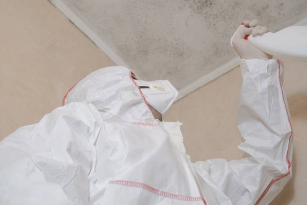 Best Residential Mold Removal  in South Fallsburg, NY